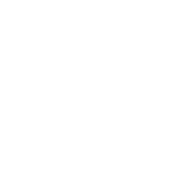 inclusion